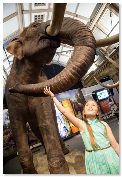 Mammoth Exhibition-124-210514